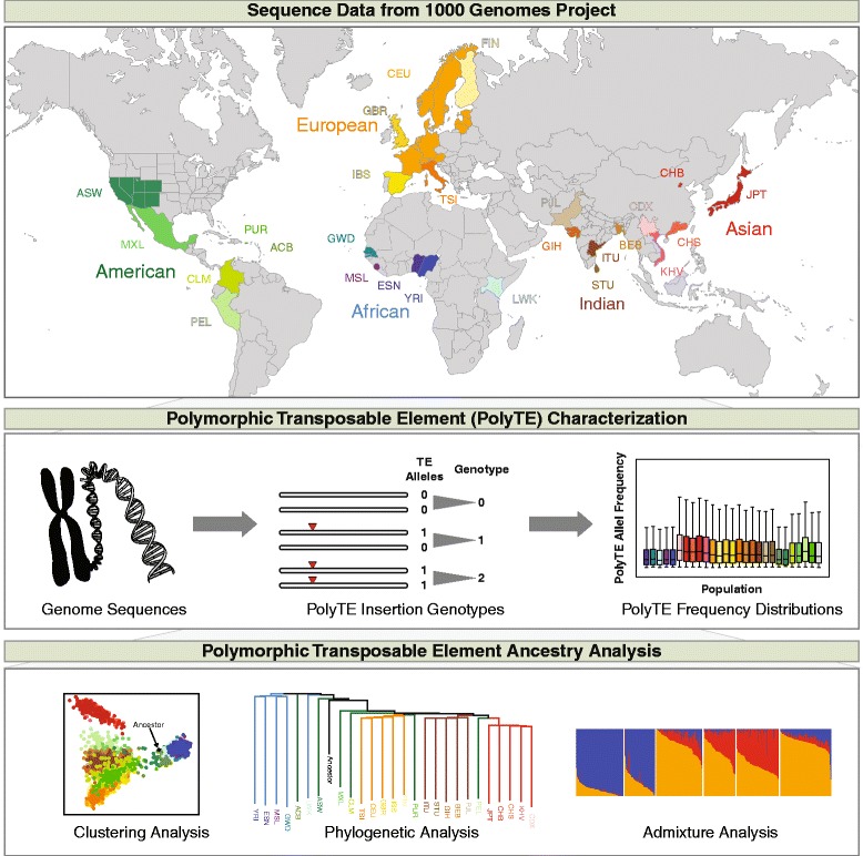 Graphical Abstract