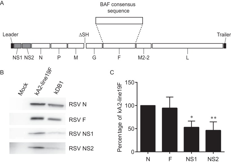 FIG 2