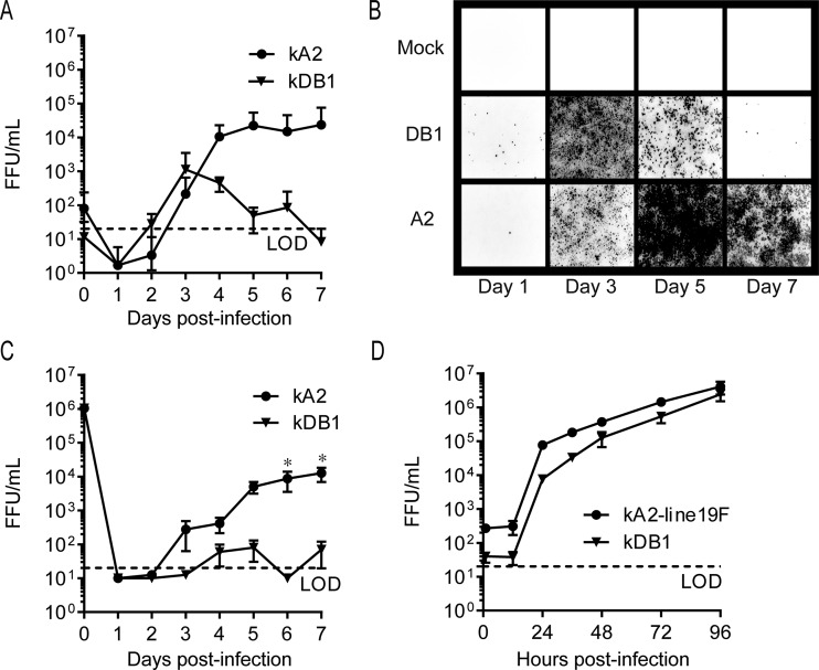 FIG 3