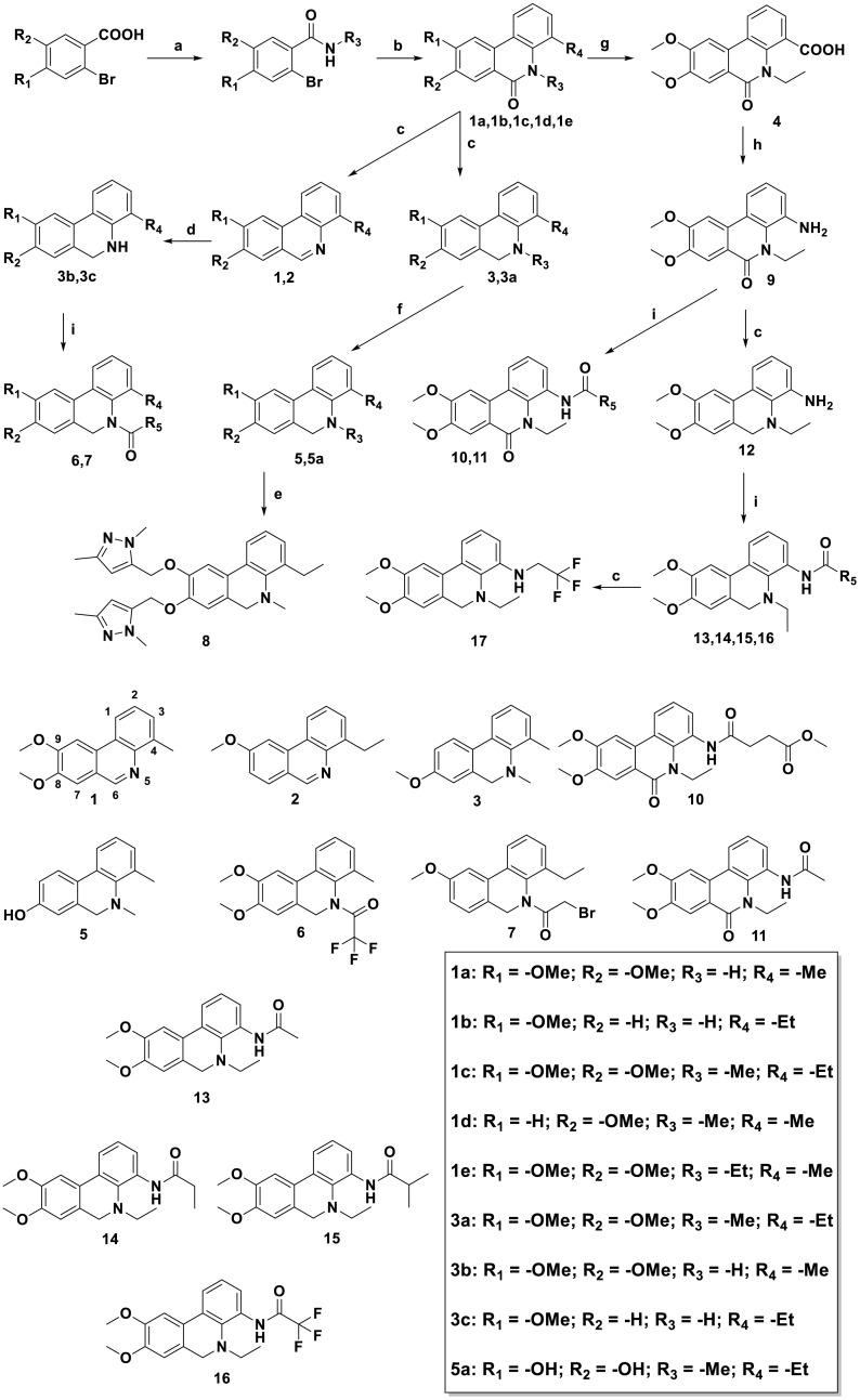 Scheme 1