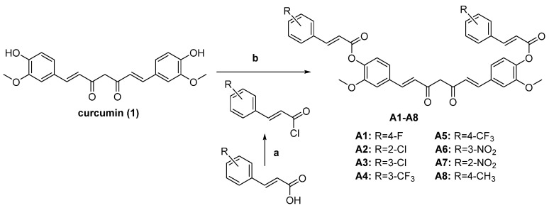 Scheme 1