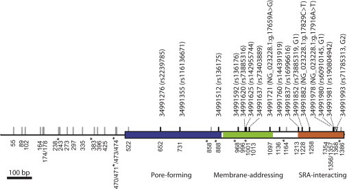 Figure 2