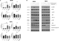 Figure 5