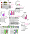 Extended Data Fig. 5