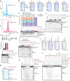 Extended Data Fig. 1