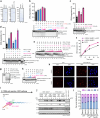 Extended Data Fig. 8