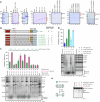 Extended Data Fig. 4