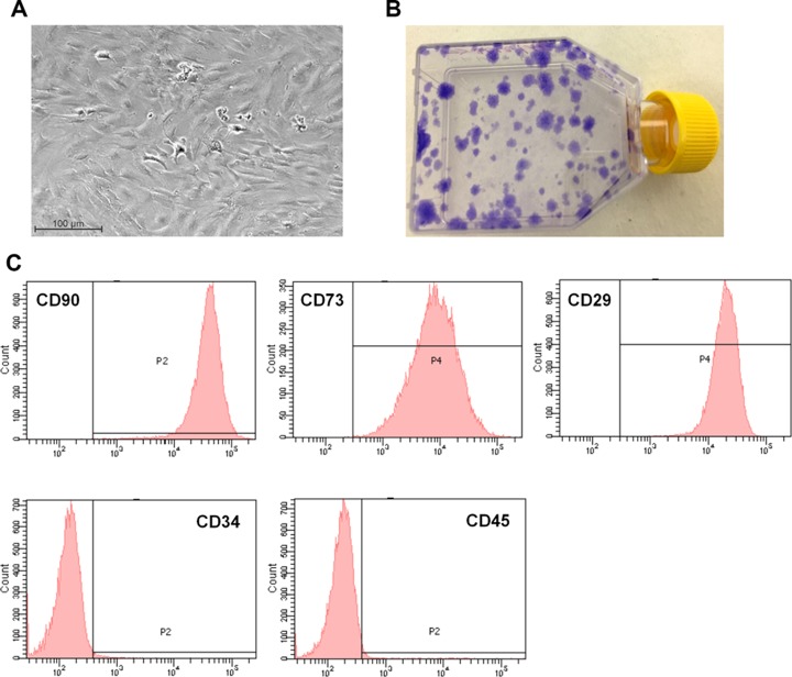 Figure 2.