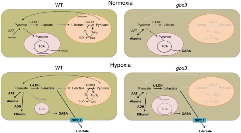 Figure 7.