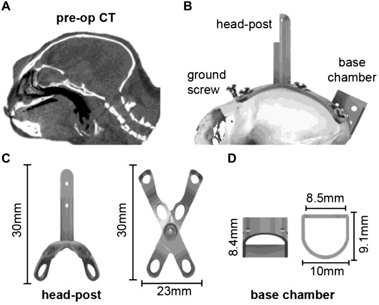 Fig. 1.