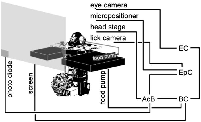 Fig. 4.