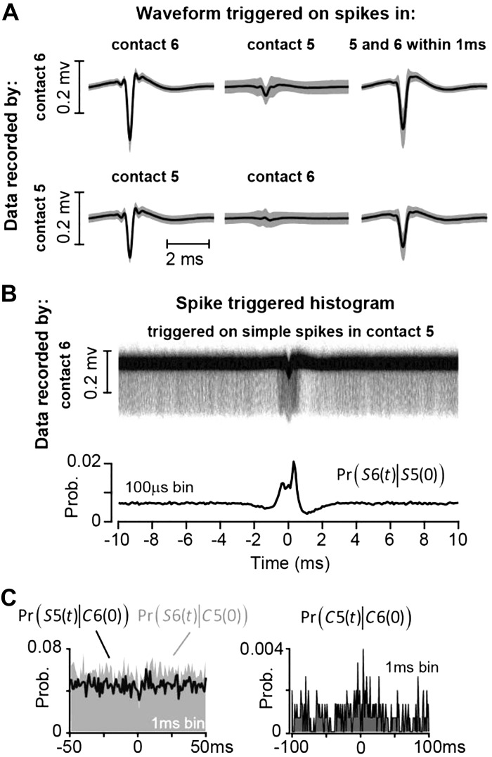 Fig. 10.