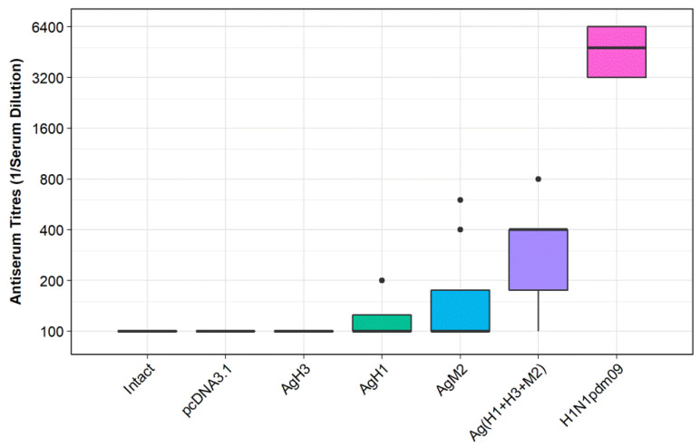 Figure 5