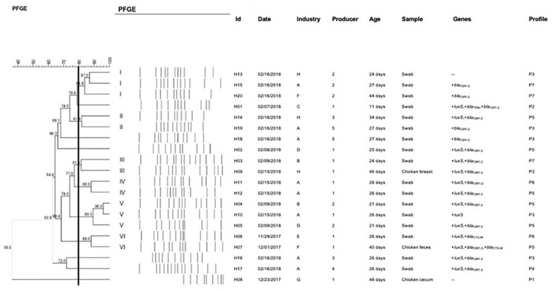 FIGURE 1