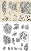 Figure 16