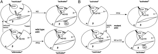 Fig. 6.