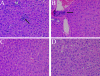 FIG. 6.