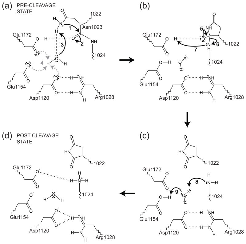 Fig. 8