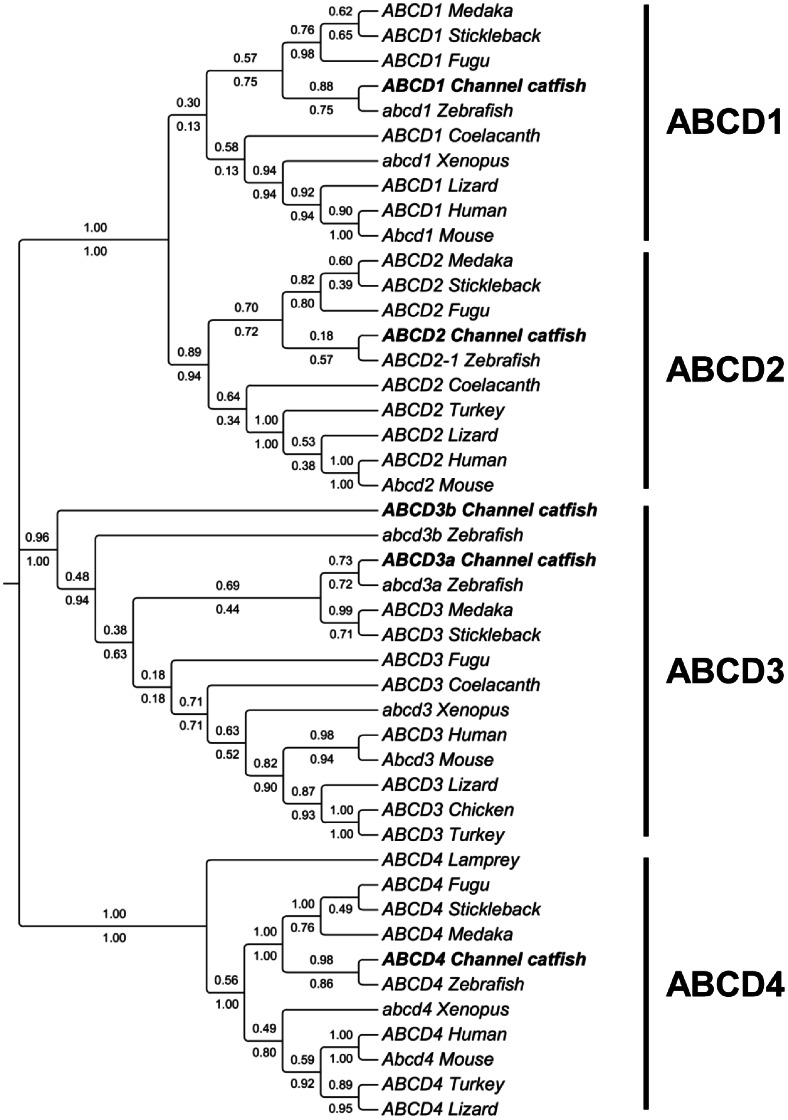 Figure 7