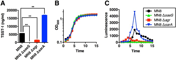 FIG 3