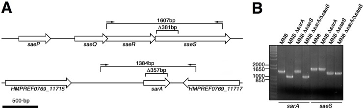 FIG 1