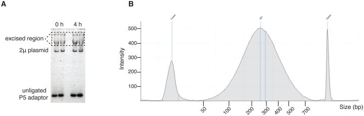 Figure 5