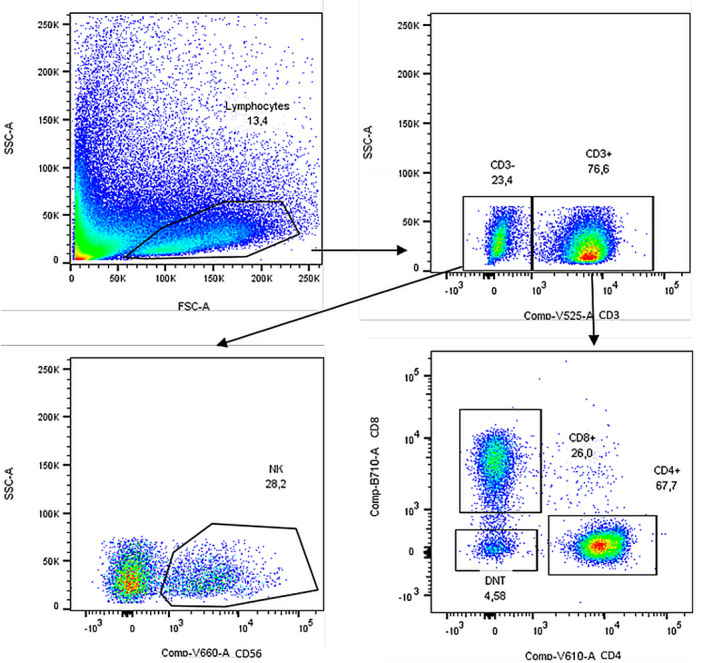 FIGURE 1