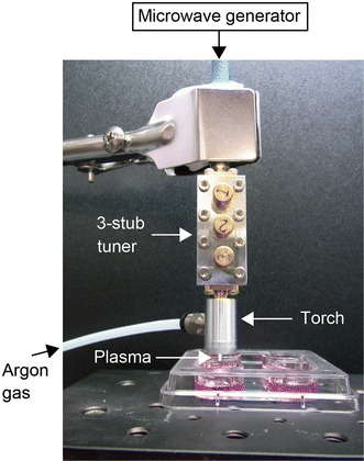 Fig. 1