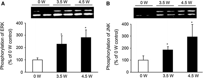 Fig. 7