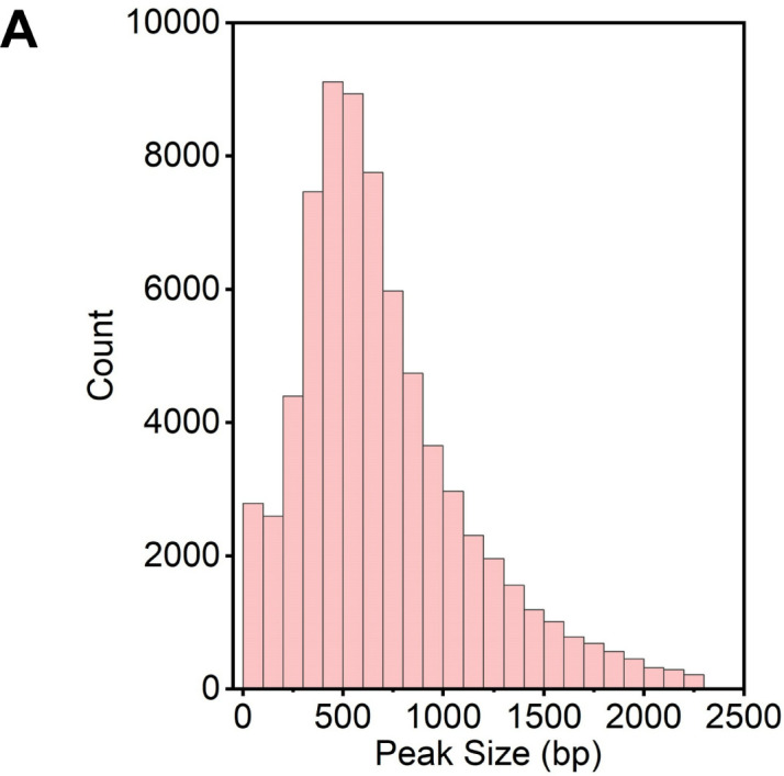 Figure 4—figure supplement 1.