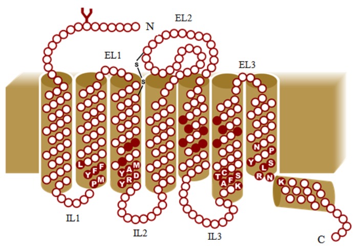 Fig. (5)