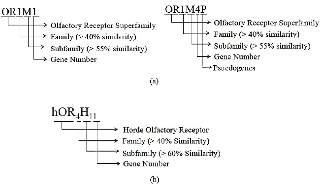 Fig. (8)