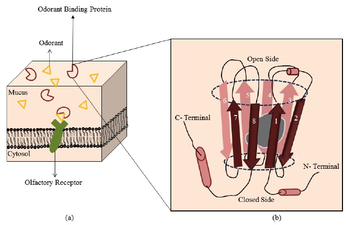 Fig. (7)