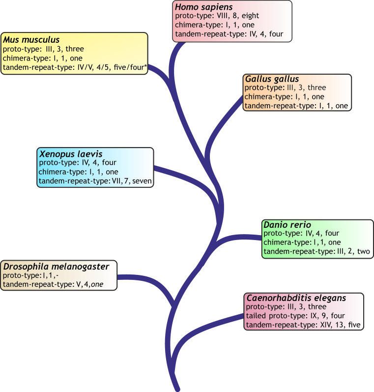 Fig. 8