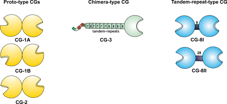 Fig. 7