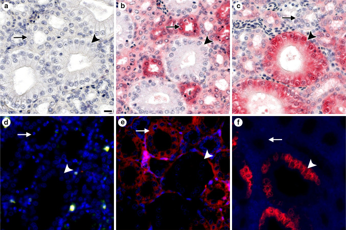 Fig. 9