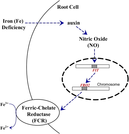 Figure 9.