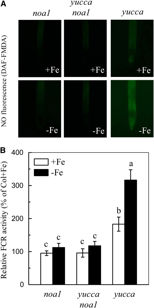 Figure 6.