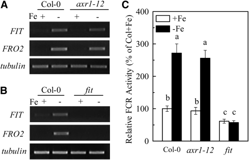 Figure 7.