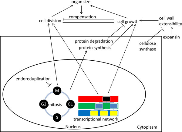 Figure 9