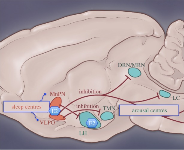 Figure 4.