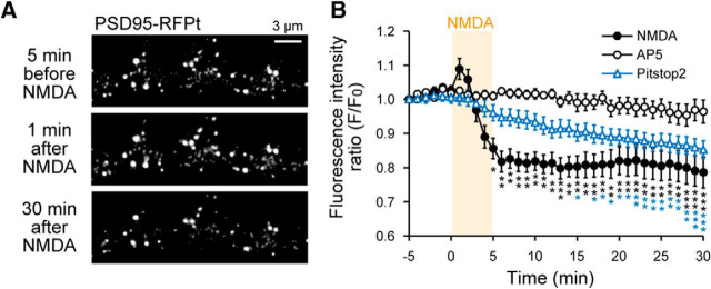 Figure 12.