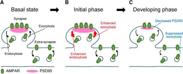 Figure 13.