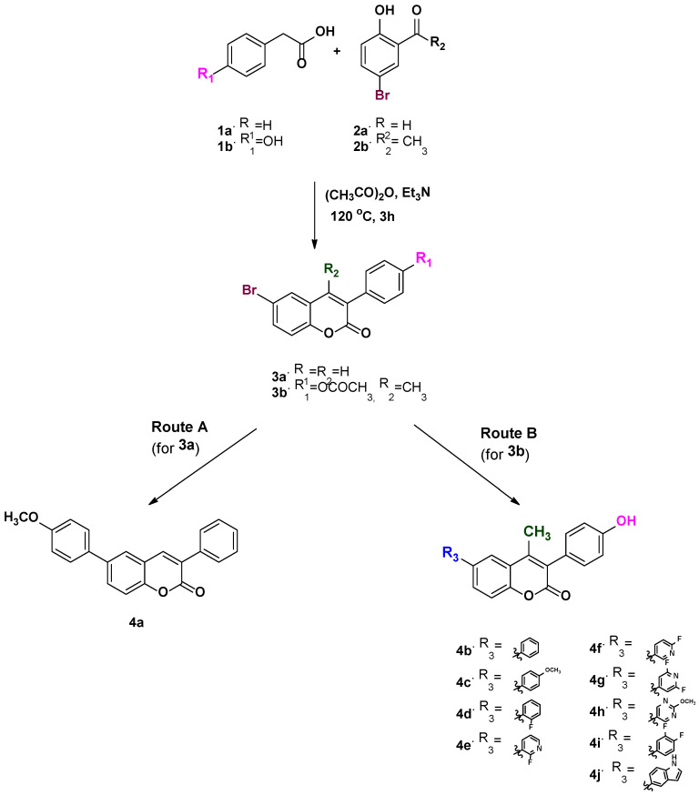 Scheme 3