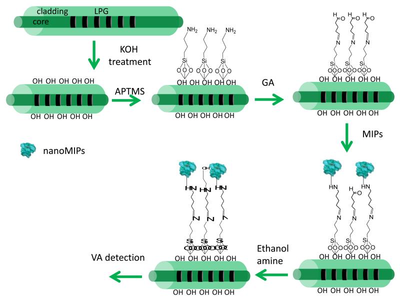 Scheme 3