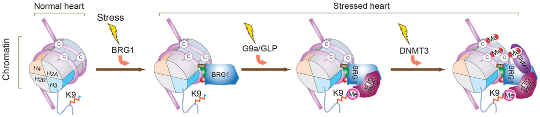 Fig. 6.