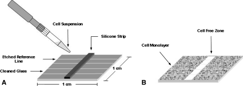 Fig. 1A–B