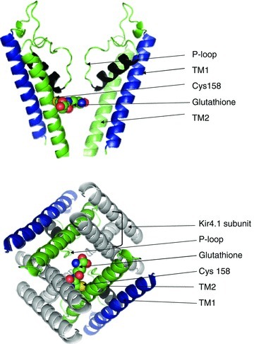 Figure 11