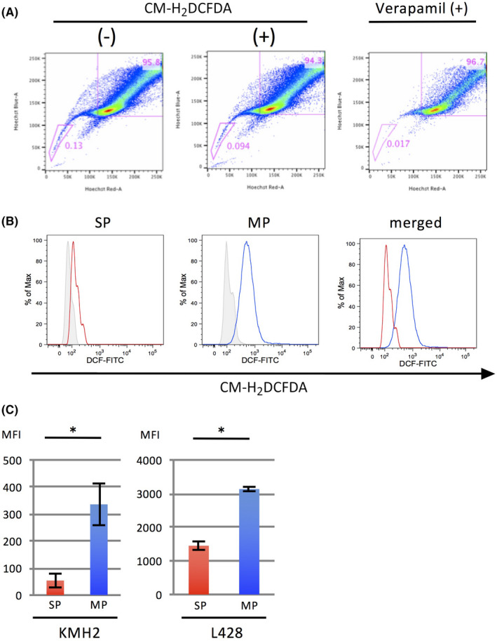 FIGURE 1