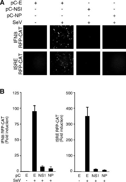 FIG. 4.